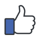 Facebook Page Likes